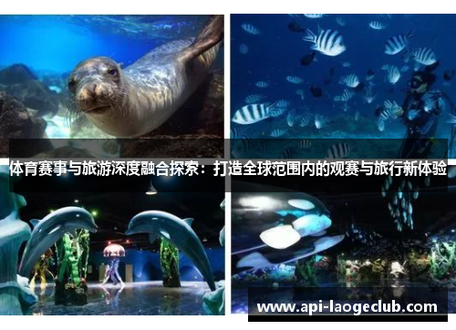 体育赛事与旅游深度融合探索：打造全球范围内的观赛与旅行新体验