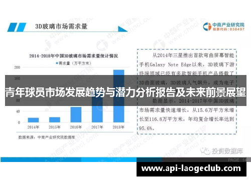 青年球员市场发展趋势与潜力分析报告及未来前景展望 青年球员市场发展趋势与潜力分析报告及未来前景展望